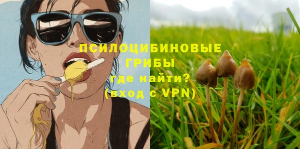 прущая мука Арсеньев