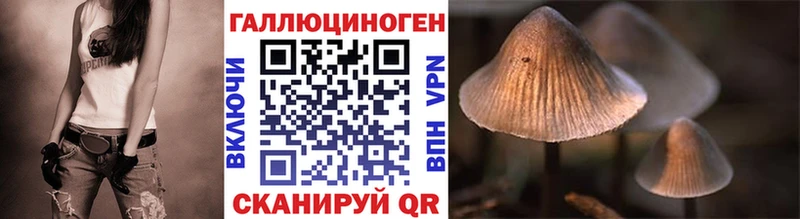Псилоцибиновые грибы Magic Shrooms  Чапаевск 